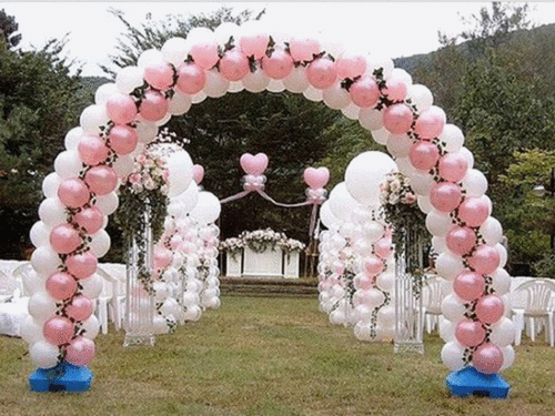 violetsaptiemroisao_500